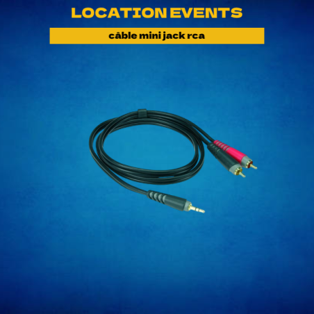 Location câble mini jack rca